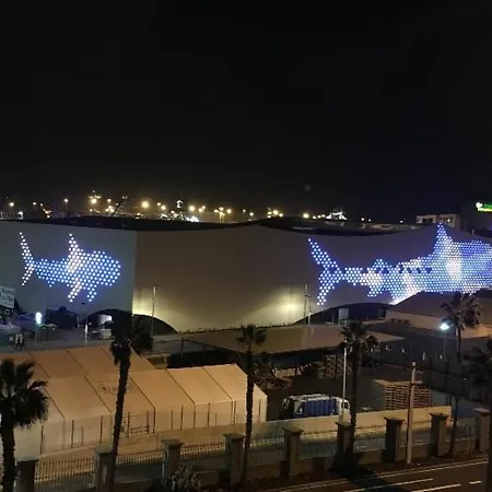 Con Vistas *